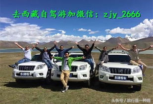 川藏線租車自駕游是否需要購買保險？